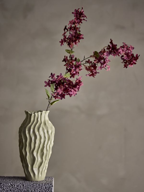 Myrtle stilk, lilla