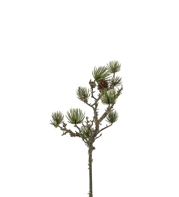 Lerkekvist med kongler 55 cm