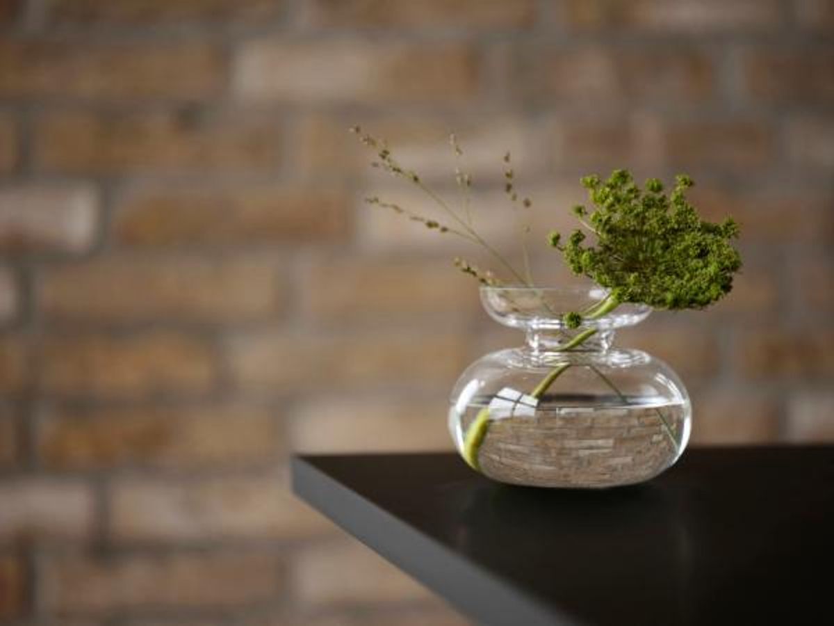 INU Vase Klar 11x9 