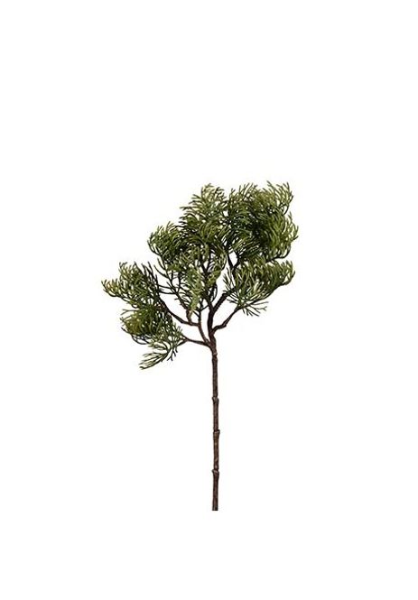 Hovedbilde Cypresskvist 45 cm