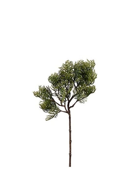 Cypresskvist 45 cm