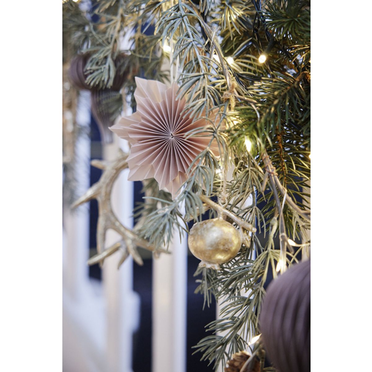 Serafina gevir, lys gull