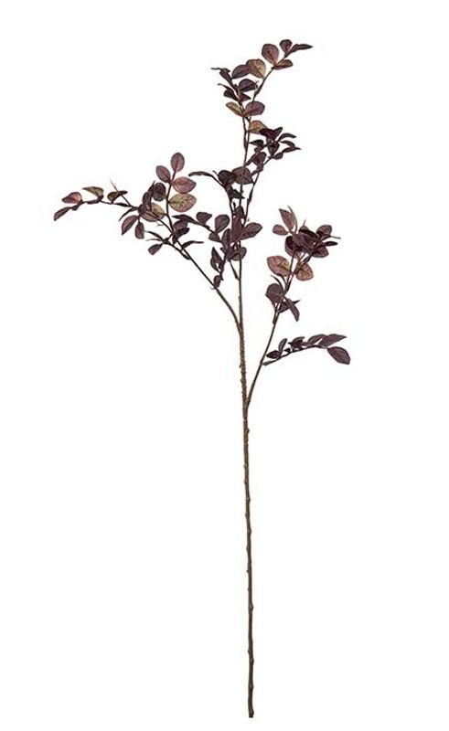 Kvist 78 cm